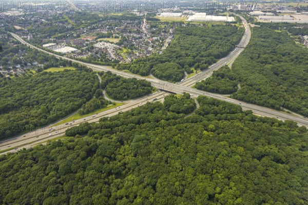 Aerial view, motorway junction Oberhausen with the motorways A2 and A3, nature reserve NSG Sterkrader Wald, Königshardt, Oberhausen, Ruhr area, North Rhine-Westphalia, Germany, motorway, motorway bridge, DE, Europe, aerial view, aerial photography, aerial photography, overview, bird's eye view, forest area, birds-eyes view, overview, OberhausenNord