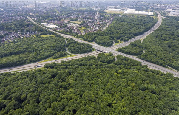Aerial view, motorway junction Oberhausen with the motorways A2 and A3, nature reserve NSG Sterkrader Wald, Königshardt, Oberhausen, Ruhr area, North Rhine-Westphalia, Germany, motorway, motorway bridge, DE, Europe, aerial view, aerial photography, aerial photography, overview, bird's eye view, forest area, birds-eyes view, overview, OberhausenNord