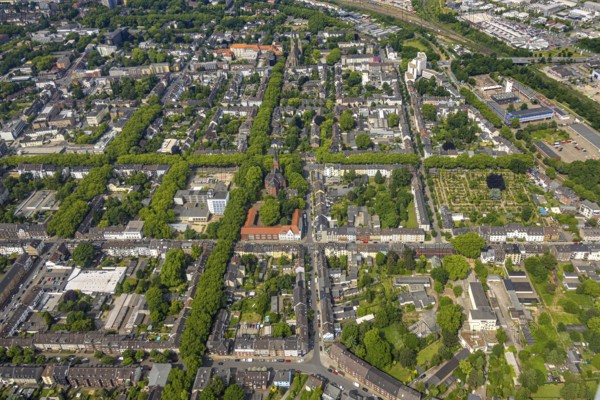 Aerial view, Lutherkirche Sophien-Kirchengemeinde, evang. Falkenstein-Schule, construction site Bertha-von-Suttner-Gymnasium, square street grid, green trees, Oberhausen, Ruhr area, North Rhine-Westphalia, Germany, place of worship, construction work, construction area, building site, building plots, construction project, construction site, education, educational institution, DE, Europe, religious community, place of worship, property tax, sanctuary, real estate, church, parish, denomination, educational institute, aerial view, aerial photography, aerial photography, new construction, religion, religious site, school, overview, bird's-eye view, residential complex, living and life, residential area, residential quality, residential neighbourhood, housing estate, residential district, birds-eyes view, overview, OberhausenSued