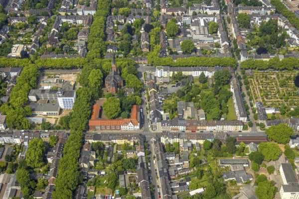 Aerial view, Lutherkirche Sophien-Kirchengemeinde, evang. Falkenstein-Schule, construction site Bertha-von-Suttner-Gymnasium, square street grid, green trees, Oberhausen, Ruhr area, North Rhine-Westphalia, Germany, place of worship, construction work, construction area, building site, building plots, construction project, construction site, education, educational institution, DE, Europe, religious community, place of worship, property tax, sanctuary, real estate, church, parish, denomination, educational institute, aerial view, aerial photography, aerial photography, new construction, religion, religious site, school, overview, bird's-eye view, residential complex, living and life, residential area, residential quality, residential neighbourhood, housing estate, residential district, birds-eyes view, overview, OberhausenSued