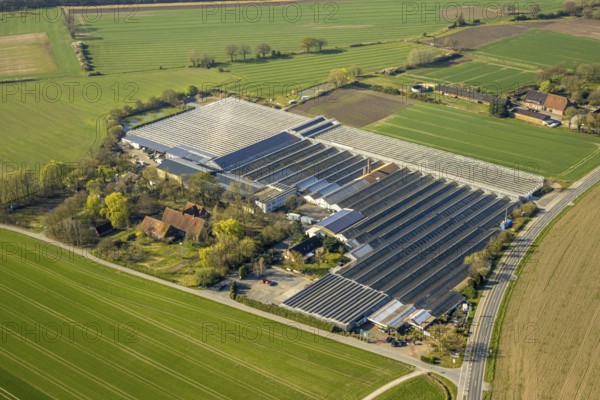 Aerial view, palm hero and gardener Gregg Garden Centre Greenhouse, Nordkirchen, Münsterland, North Rhine-Westphalia, Germany, DE, Europe, aerial view, aerial photography, aerial photography, overview, bird's-eye view, overview