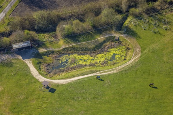 Aerial view, horse pasture and pond at Katzbach, Südkirchen, Nordkirchen, Münsterland, North Rhine-Westphalia, Germany, DE, Europe, aerial view, aerial photography, aerial photography, overview, bird's-eye view, overview
