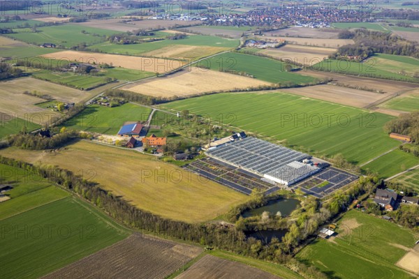 Aerial view, horticultural business Heutinck Pflanzen GmbH, greenhouse and flower bed, Südkirchen, Nordkirchen, Münsterland, North Rhine-Westphalia, Germany, DE, Europe, aerial view, aerial photography, aerial photography, overview, bird's-eye view, overview