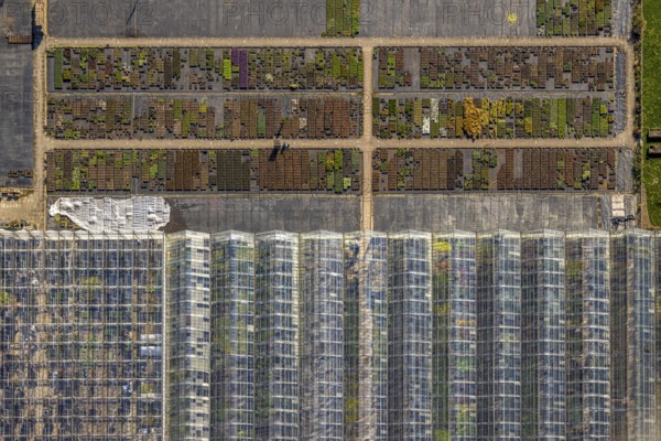 Aerial view, horticultural business Heutinck Pflanzen GmbH, greenhouse roof and flower bed, shapes and colours, vertical shot, Südkirchen, Nordkirchen, Münsterland, North Rhine-Westphalia, Germany, DE, Europe, aerial view, aerial photography, aerial photography, overview, bird's-eye view, birds-eyes view, overview