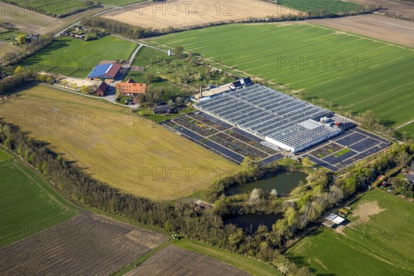 Aerial view, horticultural business Heutinck Pflanzen GmbH, greenhouse and flower bed, Südkirchen, Nordkirchen, Münsterland, North Rhine-Westphalia, Germany, DE, Europe, aerial view, aerial photography, aerial photography, overview, bird's-eye view, overview