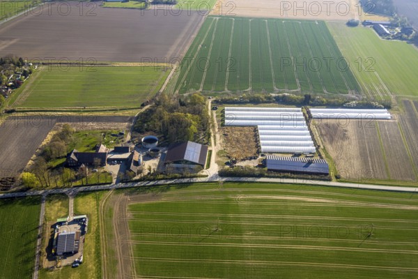 Aerial view, agricultural farm and greenhouses, Capelle, Nordkirchen, Münsterland, North Rhine-Westphalia, Germany, DE, Europe, aerial view, aerial photography, aerial photography, overview, bird's-eye view, birds-eyes view, overview