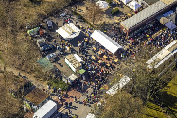 Aerial view, Holland market on Schlossstraße in Nordkirchen, stalls and 10000 visitors, Nordkirchen, Münsterland, North Rhine-Westphalia, Germany, stalls and 10000 visitors, stalls and 10000 visitors, birds-eyes view, aerial view, aerial photography, aerial photography, overview, bird's eye view, infrastructure, local view