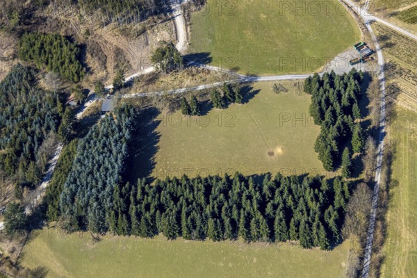 Aerial view, meadow area and group of trees Luciastrasse, mountains, Meschede, Sauerland, North Rhine-Westphalia, Germany, DE, Europe, aerial view, aerial photography, aerial photography, overview, bird's-eye view, overview