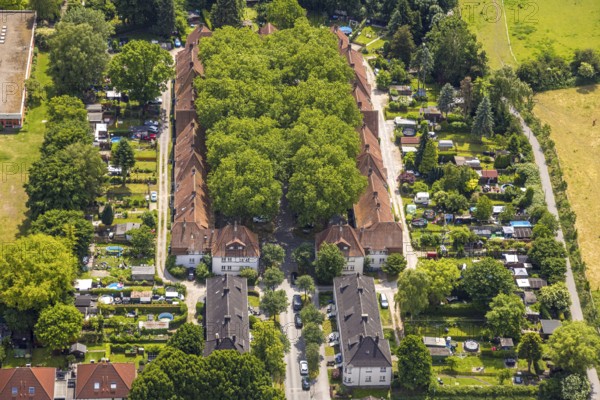 Aerial view, housing estate settlement Teutoburgia miners' settlement with group of trees in the inner courtyard, also garden city Teutoburgia, Börnig, Herne, Ruhr area, North Rhine-Westphalia, Germany, workers' houses, workers' settlement, tree avenue, tree growth, miners' settlement, mining settlement, DE, monument protection, Europe, green trees, aerial view, aerial photography, aerial photography, housing estate, overview, bird's-eye view, housing estate, colliery houses, colliery housing estate, birds-eyes view, green planting, green lung, overview, social housing, HernerechtsderA43