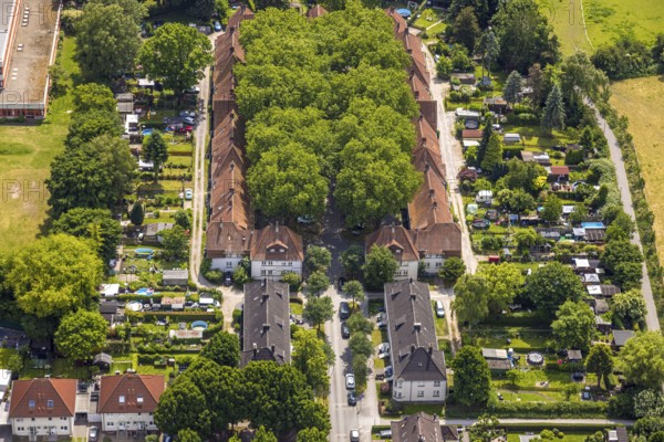 Aerial view, housing estate settlement Teutoburgia miners' settlement with group of trees in the inner courtyard, also garden city Teutoburgia, Börnig, Herne, Ruhr area, North Rhine-Westphalia, Germany, workers' houses, workers' settlement, tree avenue, tree growth, miners' settlement, mining settlement, DE, monument protection, Europe, green trees, aerial view, aerial photography, aerial photography, housing estate, overview, bird's-eye view, housing estate, colliery houses, colliery housing estate, birds-eyes view, green planting, green lung, overview, social housing, HernerechtsderA43