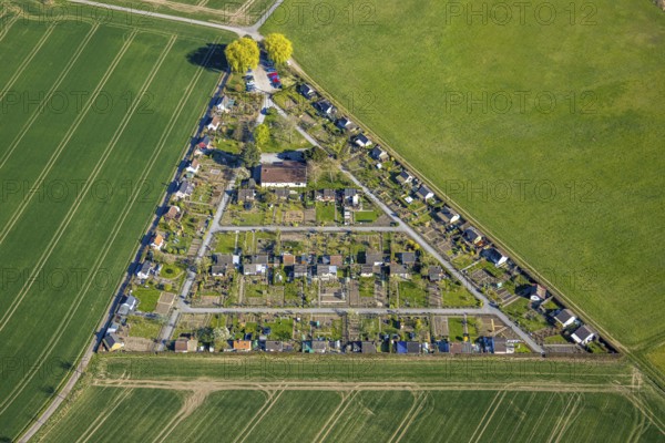 Aerial view, triangular allotment garden association Grüne Insel, Alstedde, Lünen, Ruhr area, North Rhine-Westphalia, Germany, DE, Europe, aerial view, aerial photography, aerial photography, Münsterland, overview, bird's-eye view, overview