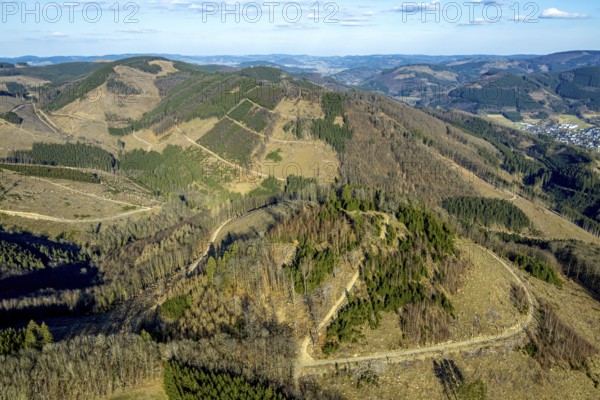 Aerial view, district Wohnsieldlung Stöppel, forest with forest damage, Halberbracht, Lennestadt, Sauerland, North Rhine-Westphalia, Germany, tree mortality, DE, Europe, clear-cutting, calamity areas, aerial photograph, aerial photography, aerial photography, overview, bird's-eye view, forest, forest damage, forest mortality, birds-eyes view, overview