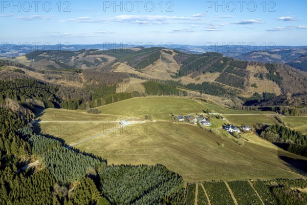 Aerial view, district Wohnsieldlung Stöppel, forest with forest damage, Halberbracht, Lennestadt, Sauerland, North Rhine-Westphalia, Germany, tree mortality, DE, Europe, clear-cutting, calamity areas, aerial photograph, aerial photography, aerial photography, overview, bird's-eye view, forest, forest damage, forest mortality, birds-eyes view, overview