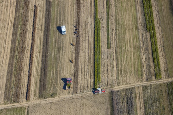 Aerial view, agricultural field work with tractor and manual labour, Würdinghausen, Kirchhundem, Sauerland, North Rhine-Westphalia, Germany, agricultural landscape, DE, Europe, agricultural machinery, agriculture, agricultural fields, aerial view, aerial photography, aerial photography, overview, bird's-eye view, overview