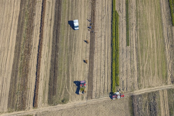 Aerial view, agricultural field work with tractor and manual labour, Würdinghausen, Kirchhundem, Sauerland, North Rhine-Westphalia, Germany, agricultural landscape, DE, Europe, agricultural machinery, agriculture, agricultural fields, aerial view, aerial photography, aerial photography, overview, bird's-eye view, overview