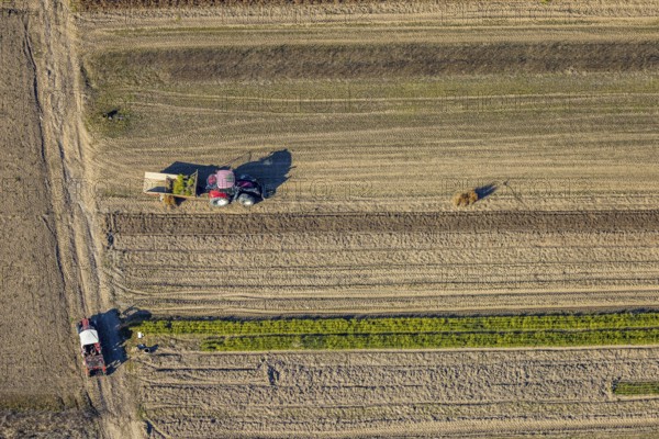 Aerial view, agricultural field work with tractor and manual labour, Würdinghausen, Kirchhundem, Sauerland, North Rhine-Westphalia, Germany, agricultural landscape, DE, Europe, agricultural machinery, agriculture, agricultural fields, aerial view, aerial photography, aerial photography, overview, bird's-eye view, overview