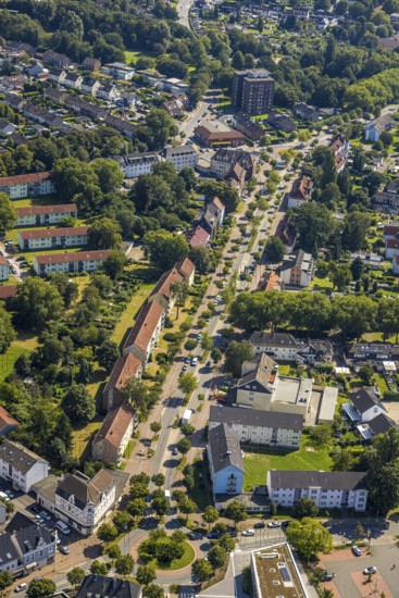 Aerial view, Horster Straße between Roßheidestraße and Marienstraße with tree avenue, Brauck, Gladbeck, Ruhr area, North Rhine-Westphalia, Germany