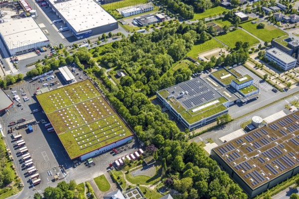 Aerial view, roofing purchase, DEX, Rhynern, green roofs, Hamm, Ruhr area, North Rhine-Westphalia, Germany