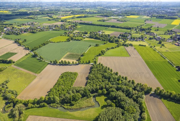 Aerial view, Gravenkamp area with meadows and fields, river Ahse, Uentrop, Hamm, Ruhr area, North Rhine-Westphalia, Germany