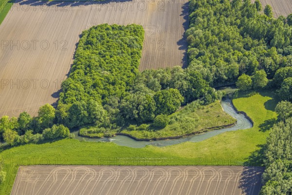 Aerial view, Gravenkamp area with meadows and fields, river Ahse, Uentrop, Hamm, Ruhr area, North Rhine-Westphalia, Germany
