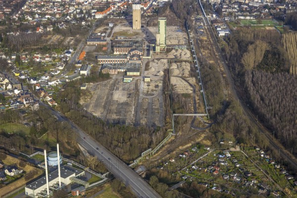 Aerial view, former DSK Lippe Westerholt mine, new neighbourhood for climate-friendly working and living, Egonstraße, on the city limits of Gelsenkirchen, surrounded by autumnal deciduous trees, Hassel, Gelsenkirchen, Ruhr area, North Rhine-Westphalia, Germany