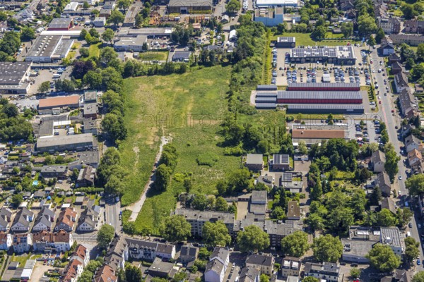 Aerial view, Engelbertstraße meadow open space, former Ewald colliery site, Resse, Gelsenkirchen, Ruhr area, North Rhine-Westphalia, Germany