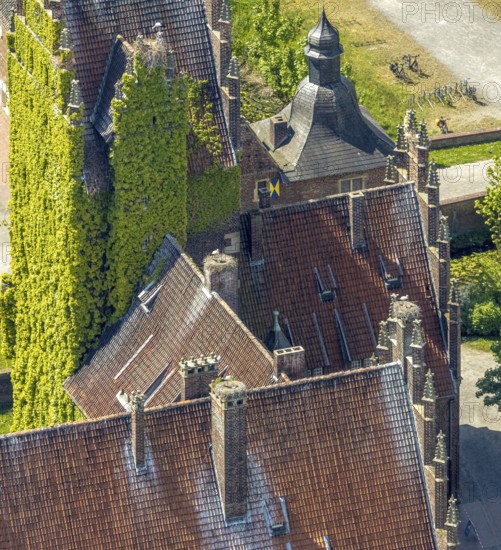 Aerial photo, storks and their nests on the roof of Heessen Castle, stork droppings on the roof, Uentrop, Hamm, Ruhr area, North Rhine-Westphalia, Germany