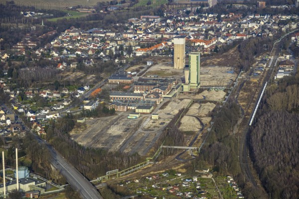 Aerial view, former DSK Lippe Westerholt mine, new neighbourhood for climate-friendly working and living, Egonstraße, on the city limits of Gelsenkirchen, surrounded by autumnal deciduous trees, Hassel, Gelsenkirchen, Ruhr area, North Rhine-Westphalia, Germany
