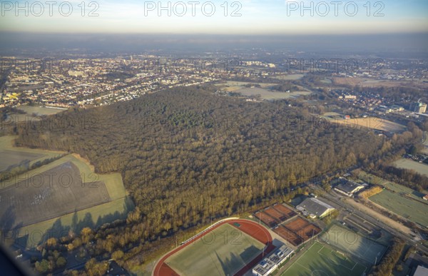 Aerial view, Pilsholz forest area, Hammer SC sports complex with football stadium and tennis courts, Rhynern district, Hamm, Ruhr area, North Rhine-Westphalia, Germany