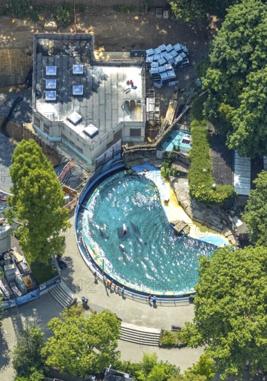 Aerial view, Duisburg Zoo, sea lion enclosure and construction site with modernisation and extension, construction crane, playground, Duissern, Duisburg, Ruhr area, North Rhine-Westphalia, Germany