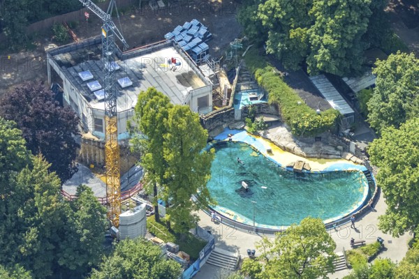Aerial view, Duisburg Zoo, sea lion enclosure and construction site with modernisation and extension, construction crane, playground, Duissern, Duisburg, Ruhr area, North Rhine-Westphalia, Germany