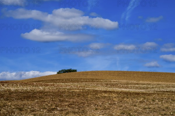 Landscape, 12th international wind art festival 2025, landscape exhibition bewegter wind, Zierenberg, Northern Hesse, Germany
