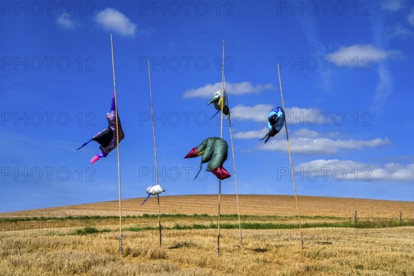 The Installation RAYS by Lorena Malo, 12th international wind art festival 2025, landscape exhibition bewegter wind, Zierenberg, Northern Hesse, Germany
