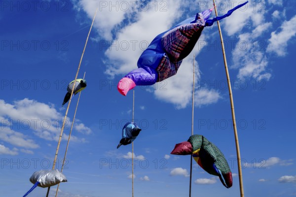 The Installation RAYS by Lorena Malo, 12th international wind art festival 2025, landscape exhibition bewegter wind, Zierenberg, Northern Hesse, Germany