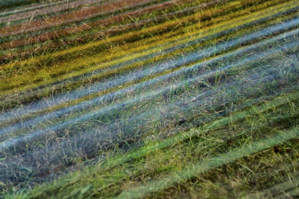 The installation Wind Carpet by Kotoaki Asano, 12th international wind art festival 2025, landscape exhibition bewegter wind, Zierenberg, Northern Hesse, Germany