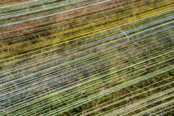 The installation Wind Carpet by Kotoaki Asano, 12th international wind art festival 2025, landscape exhibition bewegter wind, Zierenberg, Northern Hesse, Germany