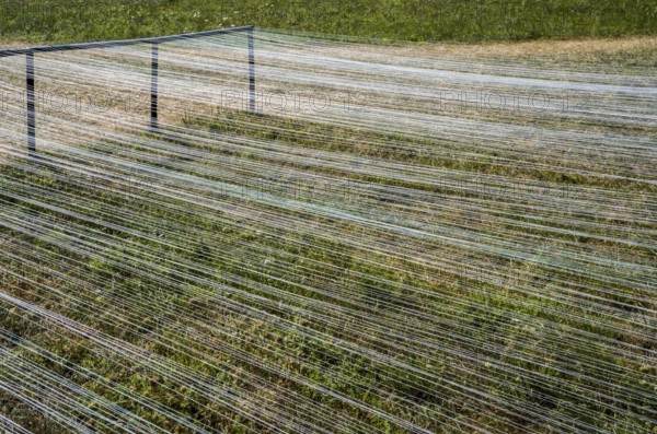 The installation Wind Carpet by Kotoaki Asano, 12th international wind art festival 2025, landscape exhibition bewegter wind, Zierenberg, Northern Hesse, Germany