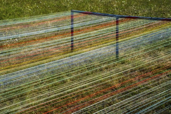 The installation Wind Carpet by Kotoaki Asano, 12th international wind art festival 2025, landscape exhibition bewegter wind, Zierenberg, Northern Hesse, Germany