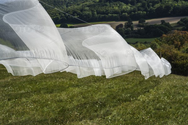 The installation Aurora by Kirsten Sauer (kisa.), 12th international wind art festival 2025, landscape exhibition bewegter wind, Zierenberg, Northern Hesse, Germany