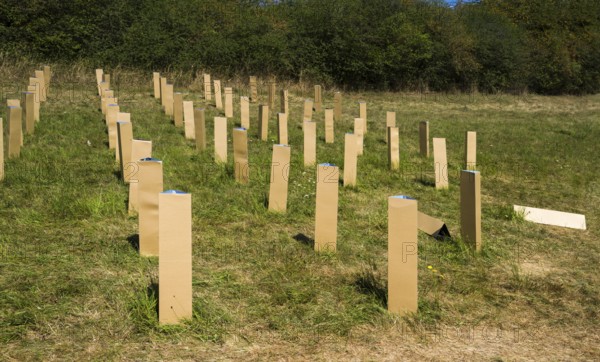 The Installation AUFFORSTUNG, REFORESTATION by Matthias Block, 12th international wind art festival 2025, landscape exhibition bewegter wind, Zierenberg, Northern Hesse, Germany