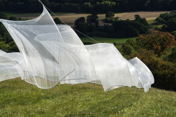 The installation Aurora by Kirsten Sauer (kisa.), 12th international wind art festival 2025, landscape exhibition bewegter wind, Zierenberg, Northern Hesse, Germany