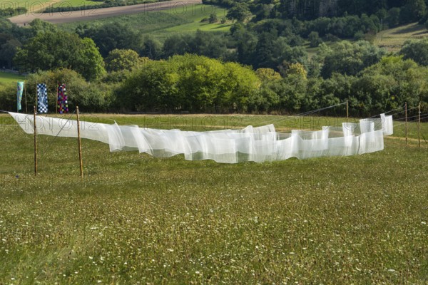 The installation Aurora by Kirsten Sauer (kisa.), 12th international wind art festival 2025, landscape exhibition bewegter wind, Zierenberg, Northern Hesse, Germany