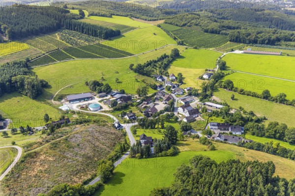 Aerial view, residential area local view district Büemke with chapel St. Agatha, meadows and fields and wooded hilly landscape, Christmas tree cultivation, Reiste, Eslohe, Sauerland, North Rhine-Westphalia, Germany, agriculture, place of worship, farm, DE, Europe, religious community, place of worship, holy place, hilly landscape, church, agriculture, agricultural fields, farm, aerial view, aerial photography, aerial photography, Meschede, religion, religious site, Ruhr area, overview, bird's-eye view, meadows and fields, meadow landscape, birds-eyes view, overview