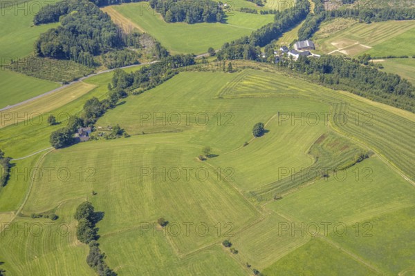 Aerial view, meadows and fields with single trees, CVJM Kierspe e.V., Thal, LSG landscape conservation area, Kierspe, Sauerland, North Rhine-Westphalia, Germany, DE, Europe, hilly landscape, hilly landscape and distant view, aerial view, aerial photography, aerial photography, Ruhr area, overview, bird's-eye view, meadows and fields, meadow area, meadow landscape, meadow piece, birds-eyes view, overview