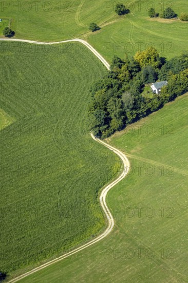 Aerial view, curved path to a wooded area in Dörscheln, shapes and colours, Elbringhausen, Kierspe, Sauerland, North Rhine-Westphalia, Germany, DE, Europe, aerial view, aerial photography, aerial photography, Ruhr area, overview, bird's-eye view, forest, wooded area, path, meadow, meadows and fields, meadow area, meadow landscape, bird's-eye view, overview