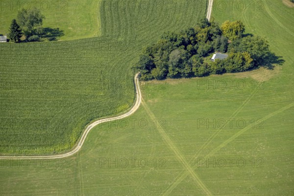 Aerial view, curved path to a wooded area in Dörscheln, shapes and colours, Elbringhausen, Kierspe, Sauerland, North Rhine-Westphalia, Germany, DE, Europe, aerial view, aerial photography, aerial photography, Ruhr area, overview, bird's-eye view, forest, wooded area, path, meadow, meadows and fields, meadow area, meadow landscape, bird's-eye view, overview