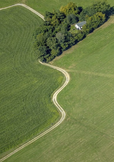 Aerial view, curved path to a wooded area in Dörscheln, shapes and colours, Elbringhausen, Kierspe, Sauerland, North Rhine-Westphalia, Germany, DE, Europe, aerial view, aerial photography, aerial photography, Ruhr area, overview, bird's-eye view, forest, wooded area, path, meadow, meadows and fields, meadow area, meadow landscape, bird's-eye view, overview