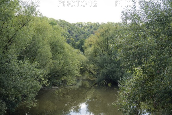 Kocher valley near Gelbingen, Kocher, river, Schwäbisch Hall, Hohenlohe, Germany