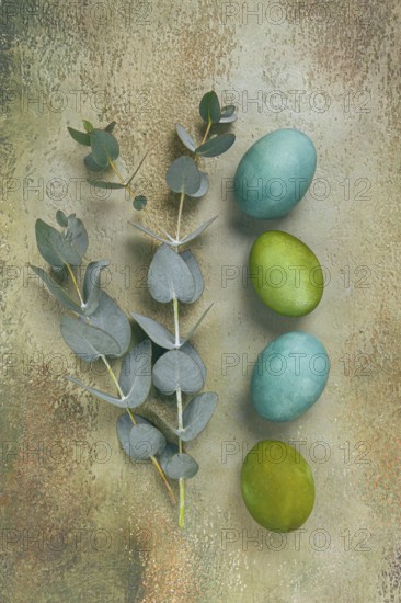Composition of colored eggs and eucalyptus leaves, on a textured background, Easter card, no people
