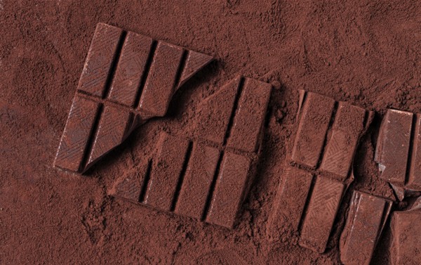 Chocolate bars broken and scattered on cocoa powder background with rich texture and color